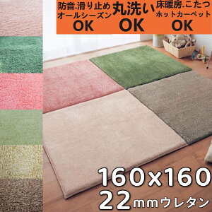 O 160×160 ` WCg}bg 唻  2cm WCgO 􂦂  WCgJ[ybg ӂӂ O}bg 160cm ėp 킢 pY}bg jbg I[V[Y