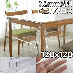 rj[NX 120×120 e[uNX  ~` 120 NA rj[ rj[NX e[u}bg Jo[ e[uی h~ h~ h _炩  rj[ e[u