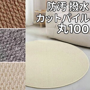 O  ėp ~` 100 J[ybg _CjOO h h O J[ybg  O}bg ~`O 100cm O   k rOp O 􂦂 ėpO hO ~