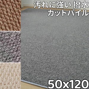 Lb`}bg @ 120  O 􂦂 L J[ybg OJ[ybg L 50×120  䏊}bg k g[Ή O}bg ʔN ~  h h L~ 