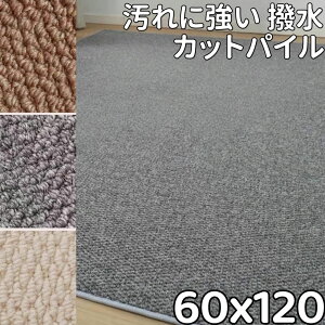 Lb`}bg @ 120  O 􂦂 L J[ybg OJ[ybg L 60×120  䏊}bg k g[Ή O}bg ʔN ~  h h L~ 