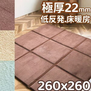 O  2cm ᔽ O 260×260 J[ybg 260 260 O}bg ėp  k Z^[O 6 }CNt@Co[ O~ 8 ~ ᔽJ[ybg tl イ ӂ