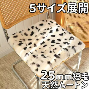 ���[�g�� �N�b�V���� �Z�� 38 40 45 55 50cm �h�b�g�� �􂦂� ���[�g���N�b�V���� �� ���[�g�� ���z�c �V�[�g�N�b�V���� �N�b�V���� ���� �N�b�V�������z�c �J�[�V�[�g �~�� �֎q ���[�g�����z�c 