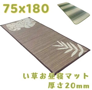 }bg180cm ܂肽 Q}bg Q }bg V[c ӂ SU    V[c zc Q }bg RpNg [ ӂ Q}bg QNbV 