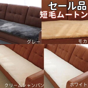 Z[i [g Z NbV 120 135cm  40 45cm [g V[gNbV 􂦂 [g V[g Jo[ [gO Z zc V[gJo[ ԗp 㕔 J[V[g J[Nb