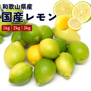 yz@Y@1kg 2kg 3kg@m[bNX@X{@}C[@̍@Y@a̎RY@O[@CG[@ʕ@s