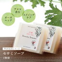 在庫限り終売［2個組］ 洗顔石鹸 固形 無添加 Premiumシリーズ ビューティーセサミソープ 月桃ゼラニウム 50g 洗顔石鹸 洗顔せっけん 石けん ソープ オーガニック ピーリング 洗顔料 毛穴 黒ずみ 沖縄 月桃 フランキンセンス 乳香 ゼラニウム　肌荒れ しっとり