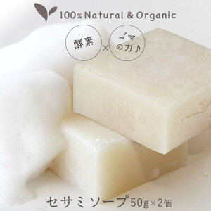 yyVLO1ʁz Ό Ō` r[eB[ZT~\[vsA 50g I[KjbN ь jLr qp p p h 邨 2025 a v[g Y ΂