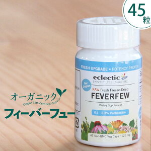 tB[o[t[ (icVMNj 45 Tv GNNeBbN Ĕe tB[@[t[ I[KjbN n[u pemCh  j Tvg t[YhC w Y 