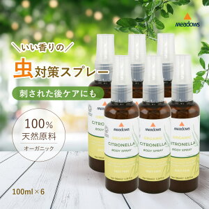 VglXv[ Xv[ I[KjbN VR q A}  gїp Ԍ  fB[gsgp Y Ԃ  悯Xv[ h 100i` q  g