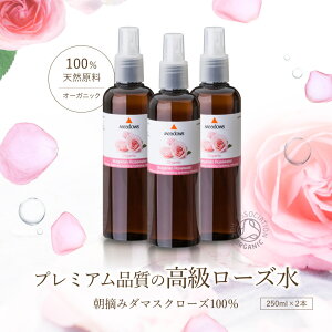 v~A I[KjbN XLPA [YEH[^[ 250ml uKA _}XN[Y ϐ  wAPA [V ێ {fB[V [Y hEY  Y GC