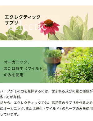 楽天市場 ネトル 90粒 サプリ エクレクティック オーガニック 花粉 ネトルティーハウスダスト 鉄分 葉酸 100 ナチュラル ハーブ サプリメント フリーズドライ 春 クエルセチン フラボノイド ルチン クロロフィル 西洋イラクサ 正規品 ミロビーナ 美ナチュラル