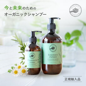 ［正規品］パーフェクトポーション 無添加 シャンプー 天然成分100％ オーガニック スカルプ ノンシリコン 頭皮 メンズ レディース 女性 男性 セット ノンケミカル ヘアケア ギフト ポンプ 泡立ち の いい シャンプー 低刺激 アロマ ローズマリー 薄毛 白髪 フケ かゆみ