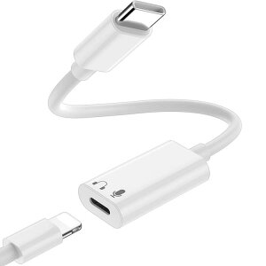  USB ^CvC-LightningX LightnningCtH }CNp ʃRg[Ή ϊP[u Cz Type CiPhone 15/15 Plus/15 Pro /15 Pro Max /iPad Pro 11C`/12.9C`/Air4/Air5/iPad 10 1