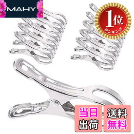 【送料無料】【楽天ランキング1位獲得】HUAZONTOM 洗濯バサミ ステンレス 布団ばさみ 10個セット（大きいサイズ） 竿ピンチ 強力 防風対策 ハンガー固定用 竿どめクリップ 洗濯物干しピン