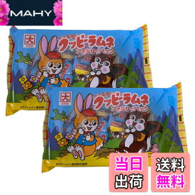 【送料無料】カクダイ製菓 クッピーラムネ ファミリーパック4gx25袋 2個セット