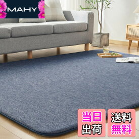 【送料無料】VK Ingeroom カーペット 夏用 極厚30mm 冷感ラグ 厚手 接触冷感 【ひんやりxもっちり】 涼しい 色：ネイビー、サイズ：190x190cm