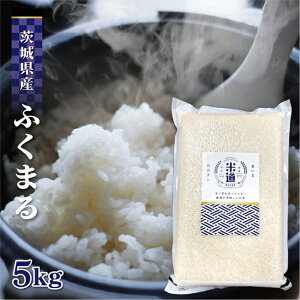 yߘaZNYz 錧Y ӂ܂ 5kg y āz ^pbN ꓙ ۑ  