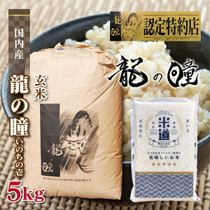 V yߘaNYz Y ̓ ̂̈ 5kg y āz ^pbN ꓙ ʍ͔| _ w엿 ۑ  