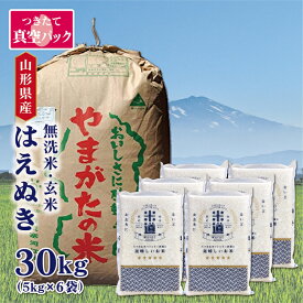 米 30kg 送料無料 白米 無洗米 はえぬき 5kg×6 令和五年産 山形県産 30キロ お米 ごはん 米 検査米 単一原料米 玄米 保存食 無洗米 真空パック