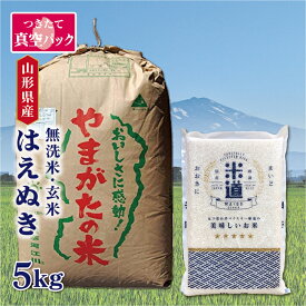 米 5kg 送料無料 白米 無洗米 はえぬき 令和五年産 山形県産 5キロ お米 検査米 単一原料米 保存食 無洗米 玄米 真空パック