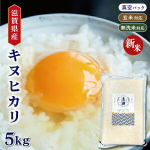 yVāzyߘaNYz ꌧY LkqJ 5kg y  āz ^pbN ۑ  