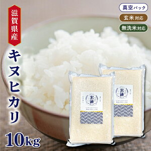 yVāzyߘaNYz ꌧY LkqJ 10kg (5kg×2) y  āz ^pbN ꓙ ۑ  