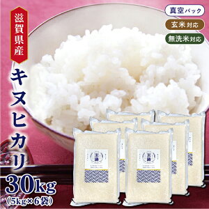 yVāzyߘaNYz ꌧY LkqJ 30kg (5kg×6) y  āz ^pbN ꓙ ۑ  