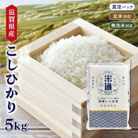 【令和六年産】 滋賀県産 こしひかり 5kg 【白米 玄米 無洗米】 真空パック 一等米 保存米 検査米 送料無料