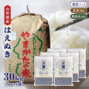 yߘaZNYz R`Y ͂ʂ 30kg (5kg×6) yIׂ鐸ēxz ^pbN ꓙ    ۑ  