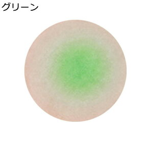 �C���e���A�}�b�g �`�F�A�}�b�g �O���f�[�V���� ����17mm �f�X�N�J�[�y�b�g ���킢�� INS �؍��� ���� �Ƌ�ی�p�b�h �t���A�}�b�g �ی^���O �L�Y�h�~ �h�_�j �ᔽ�� �É��z�� ����ȒP �I�t