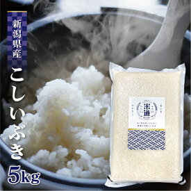 米 5kg 送料無料 白米 こしいぶき 令和五年産 新潟県産 5キロ お米 玄米 ごはん 慣行栽培米 一等米 単一原料米 分付き米対応可 保存食 米 真空パック 高級
