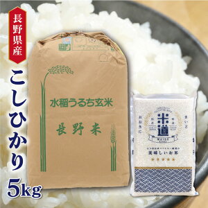 yߘaZNYz 쌧YЂ 5kg yIׂ鐸ēxz  ^pbN ꓙ ۑ  