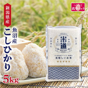 yzyszyߘaZNYz VY Ђ 5kg yIׂ鐸ēxz ^pbN    ۑ  