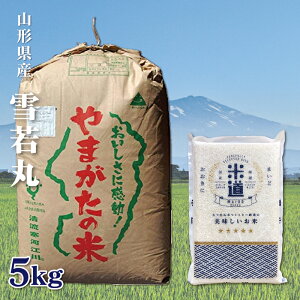 yߘaZNYz R`Y  5kg yIׂ鐸ēxz ^pbN A ꓙ   ۑ  