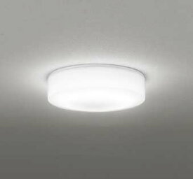 オーデリック　OG254873R　バスルームライト 非調光 LED一体型 昼白色防雨・防湿型 [£]