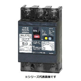 テンパール工業　53EC40100　漏電遮断器 経済タイプ Eシリーズ OC付 表面形 50AF 3P3E 100-200V 40A 100mA [￡￡]