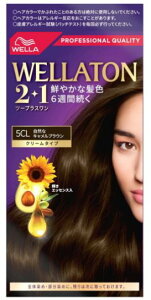 񂹁EGg[2+1@N[^Cvi5CLjRȃLuEyWELLAzyc[vXz