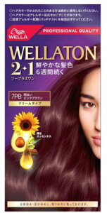 񂹁EGg[2+1@N[^Cvi7PBj邢sNuEyWELLAzyc[vXz