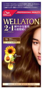 񂹁EGg[2+1@N[^Cvi7Bj邢sAuEyWELLAzyc[vXz