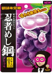 【メール便（300円）対応　1～6個まで】【UHA味覚糖】 忍者めし鋼　グレープ味（45g）※代引不可※