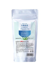 yJz L_`AG J ߂p@1100yFEkCz