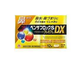 【第(2)類医薬品】ベンザブロックSプレミアムDX 12錠