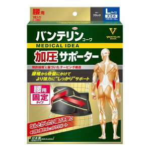 yʌzyazoeR[T|[^[p ^Cv ubN 傫(1)