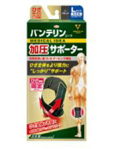 yazoeR[T|[^[Ђp1@傫߁@LTCYiubNj