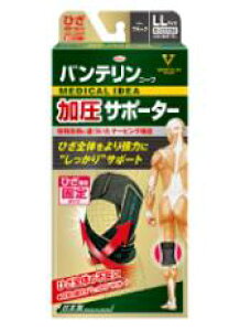 yazoeR[T|[^[Ђp1@傫߁@LLTCYiubNj