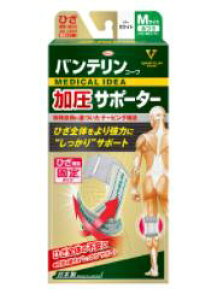 yazoeR[T|[^[Ђp1@ӂMTCYizCgj