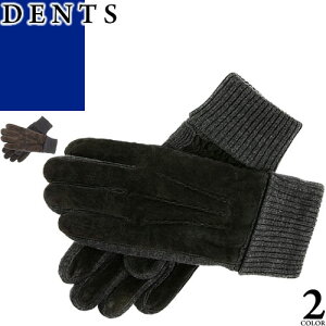 fc DENTS  P_ KENDAL Y XG[h U[ v h V[g {v ʋ ʊw uh v[g j  ubN uE 5-1629 [CP]