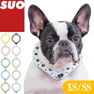 _|Cg+10{I^SUO 28 ICE N[O ACXlbNO p Lp XSTCY SSTCY ICE RING? lbNN[[ ACXlbNoh  p`[u  U MǑ΍ ΍ 