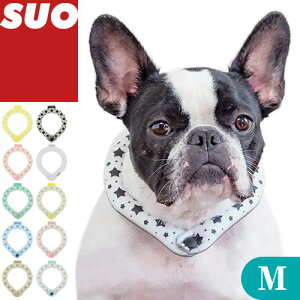 _|Cg+10{I^SUO 28 ICE N[O ACXlbNO p Lp MTCY ICE RING? lbNN[[ ACXlbNoh  p`[u  U MǑ΍ ΍ ЂO